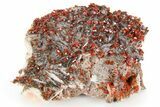 Top-Quality, Deep Red Vanadinite Crystals on Barite - Morocco #255539-1